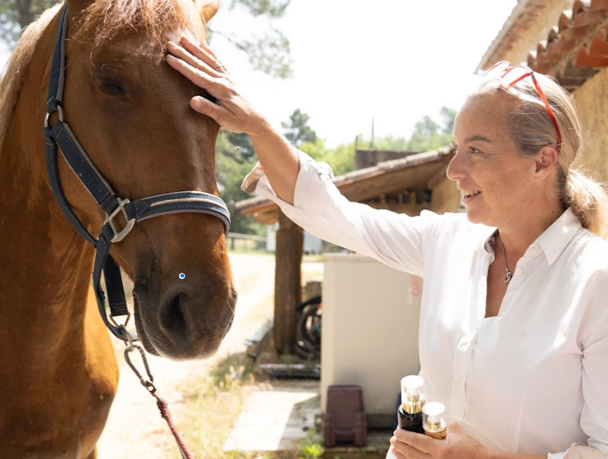 HARMONY ANIMAL CARE