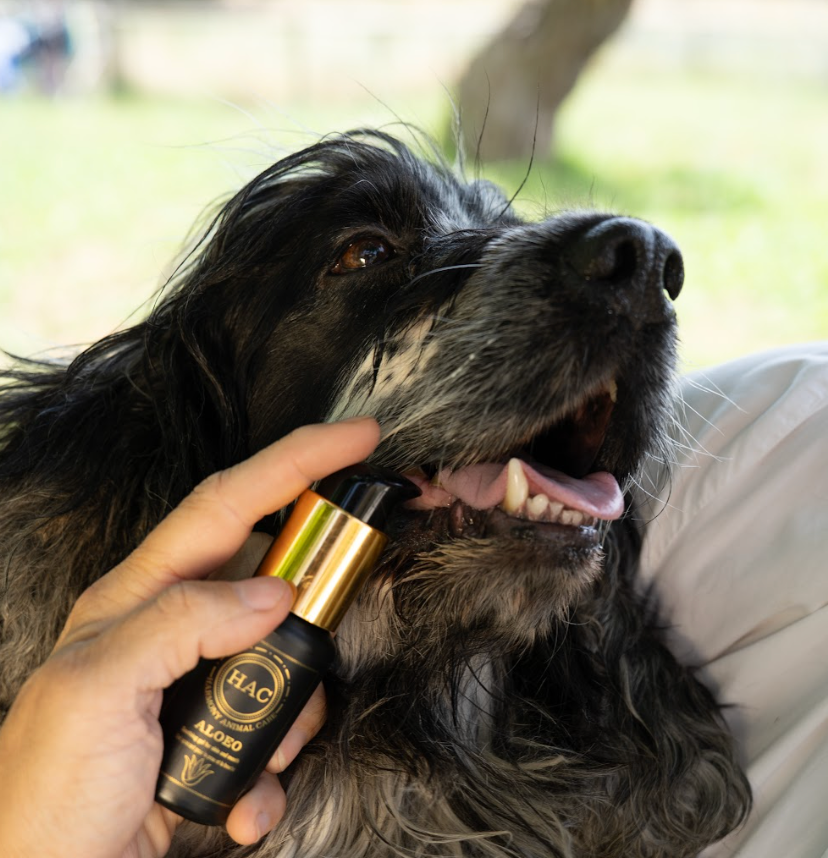 Gel apaisant naturel peau & bouche animaux - ALOEO
